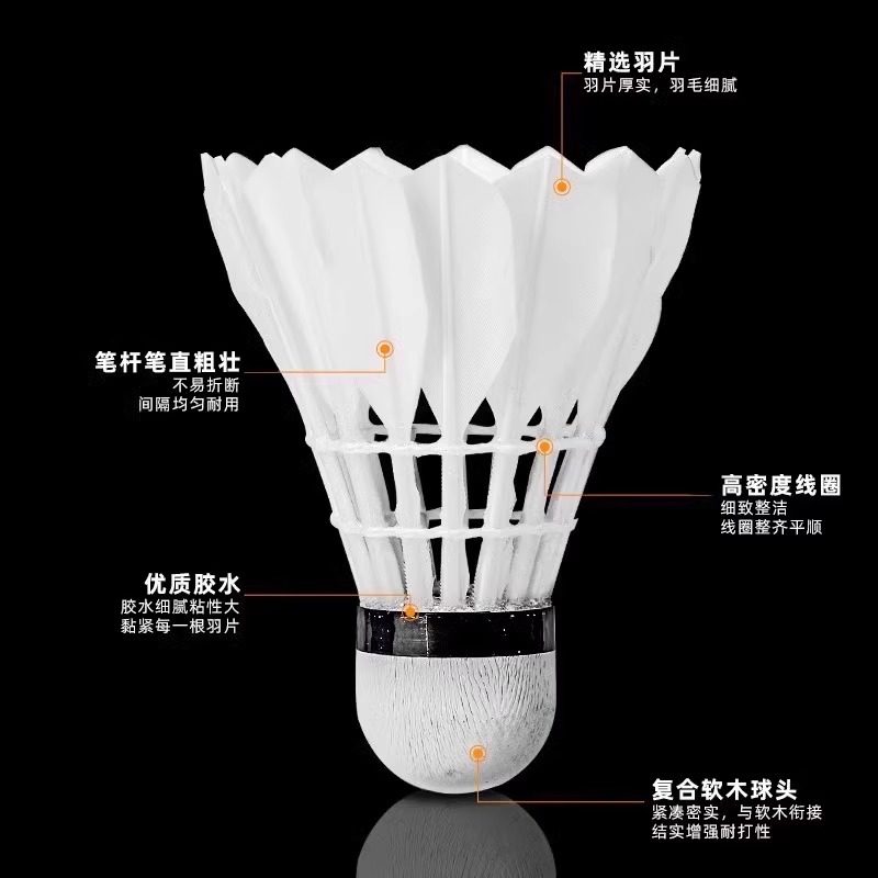 ライオンバドミントンシャトルコック グースフェザー 12個入 - Feather Shuttlecock のレビューと価格